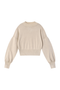 Apricot Color