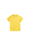 Yuzu Yellow