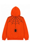 Orange Spider Web And Spider