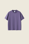 Fog Purple