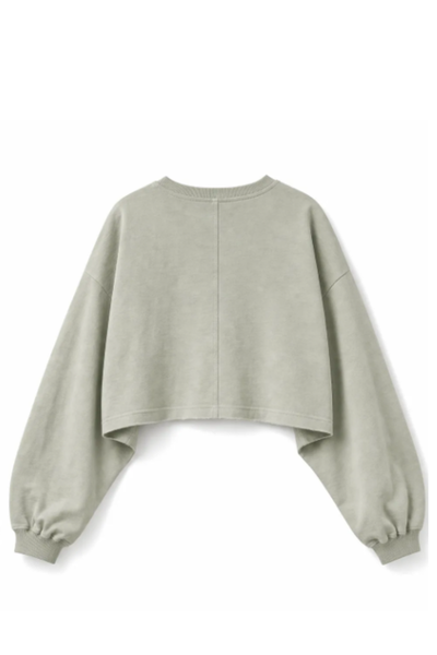 Women Spring Lightweight Cropped Batwing Long Sleeve Top