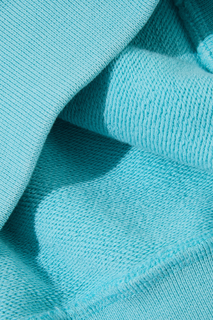 Women's Fall Clothing 430G Heavyweight Cotton Hoodie