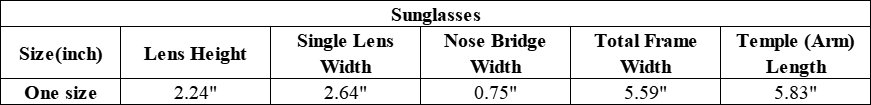Unisex Outdoor Cycling Photochromic Windproof Glasses