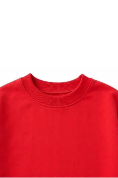 Women Spring Plus Size Gingham Sleeve Mock Neck Sweatshirt