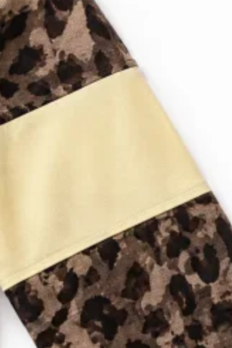 Women Fall Clothing Casual Leopard Color Block 2 Piece Set
