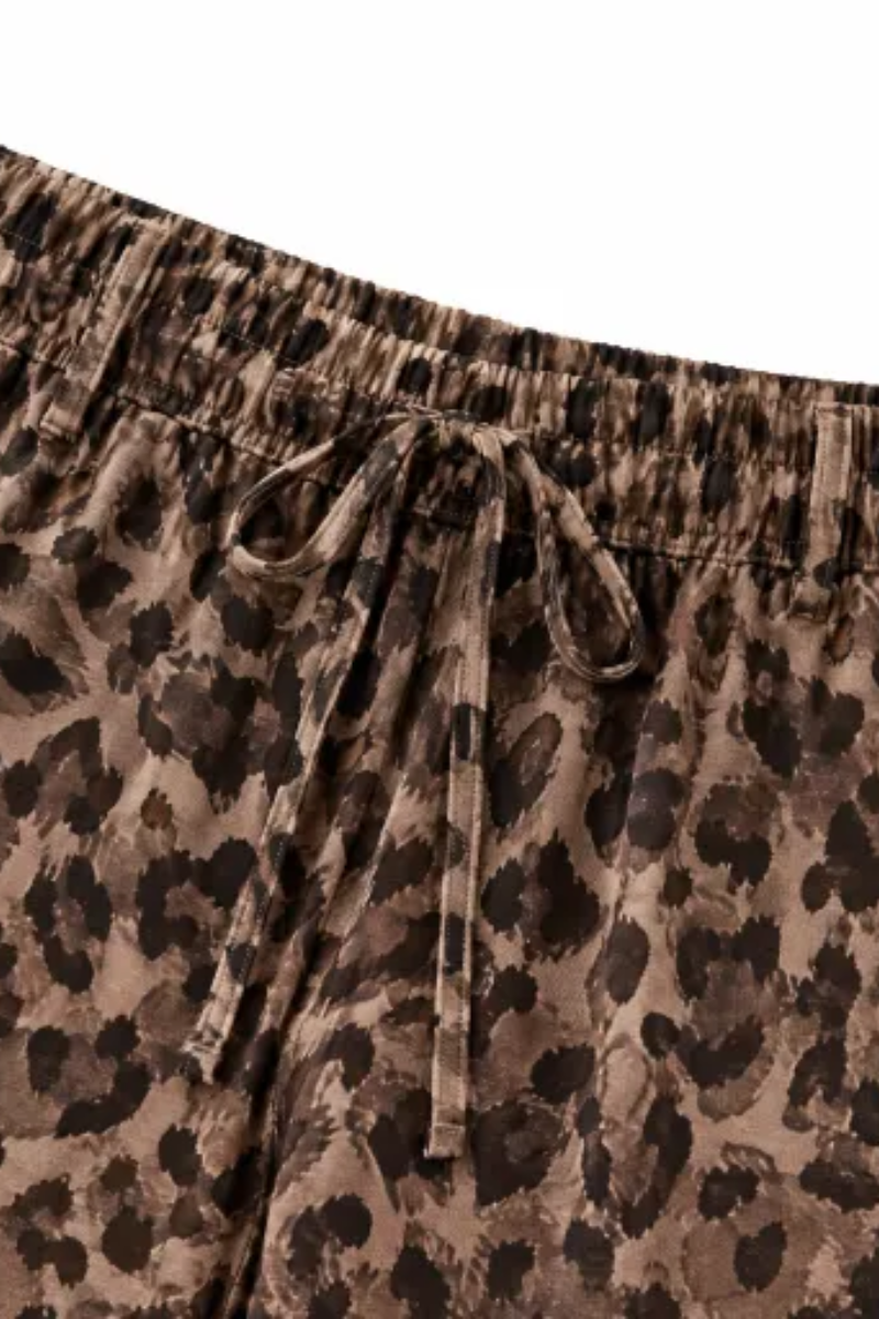 Women Fall Clothing Casual Leopard Color Block 2 Piece Set