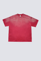 Rose Red